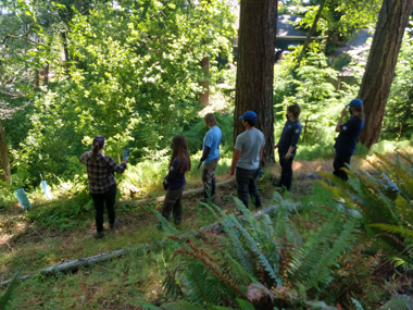 KCD Program Coordinator Ashley Allan gave a tour of the wetland to a new crew from Washington Conservation Corps in June. She had a lot to show them!
